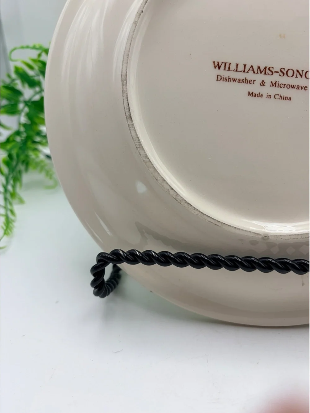 Williams Sonoma breakfast plate. No damage.